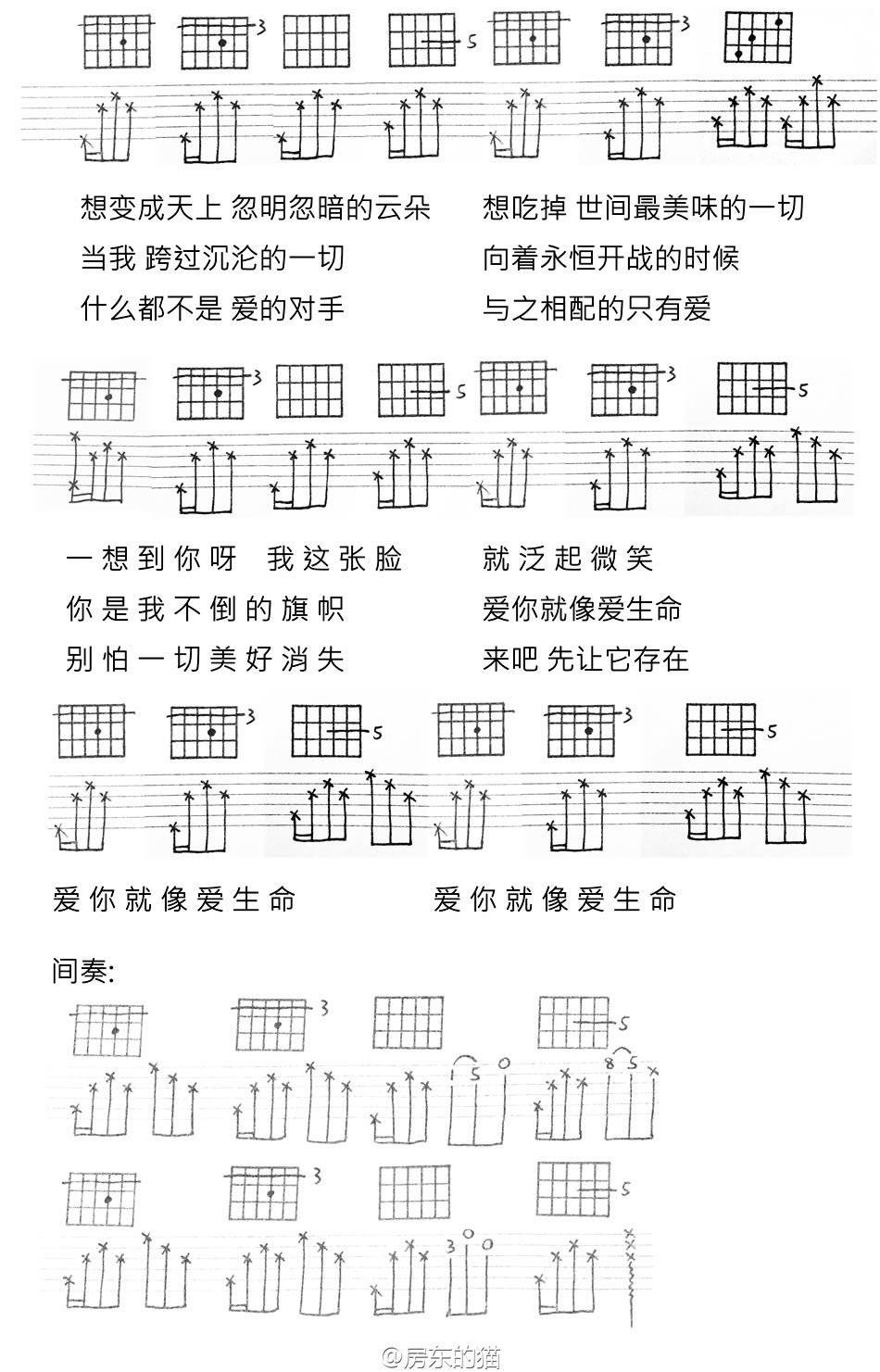 爱你就像爱生命吉他谱2-房东的猫